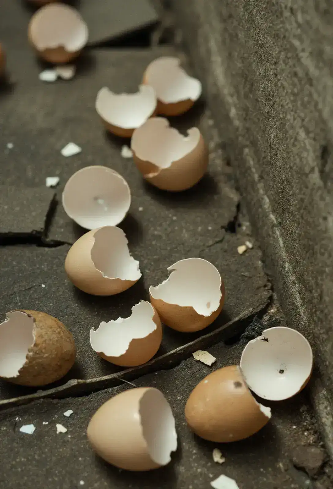 A cracked utility tunnel floor scattered with broken pale eggshells the size of melons, faint movement inside one whole leathery shell.