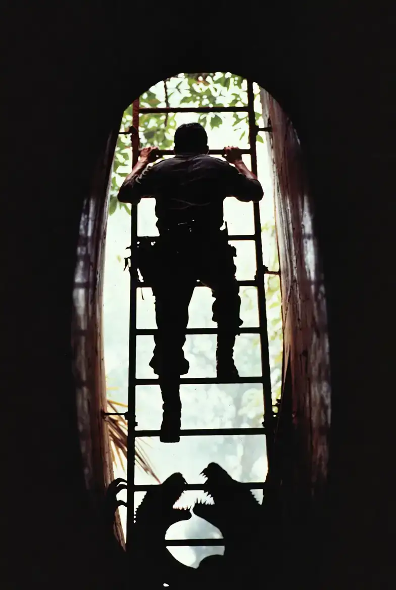 A man pulling himself up a rusted ladder out of a dim tunnel hatch into bright tropical sun, the silhouettes of frilled creatures snapping below.